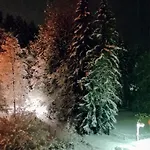 Hotel Waldsee Waldachtal