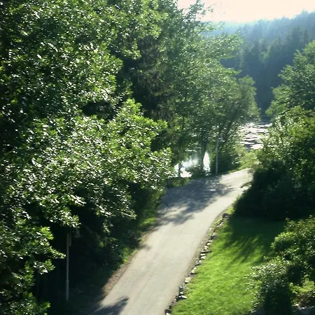 酒店 Waldsee
