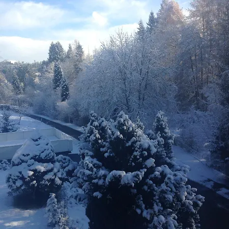 Hotel Waldsee Waldachtal