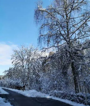 Waldsee Hotell Waldachtal