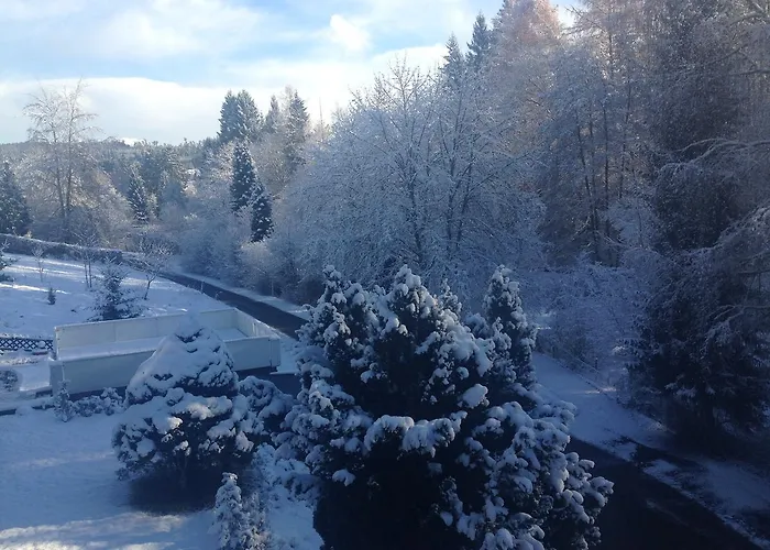 Szálloda Waldsee Waldachtal