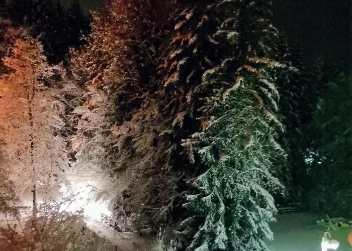 Szálloda Waldsee Waldachtal